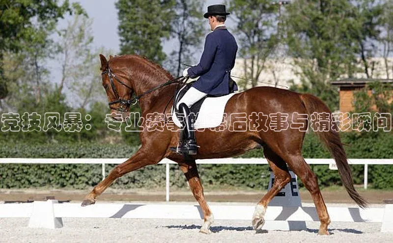 欧亿体育app手机版壹网壹创竞技风暴：专业赛事的幕后故事与精彩瞬间