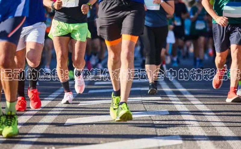 欧亿体育平台宇信科技运动的旋律：班集体在运动会中的精彩篇章