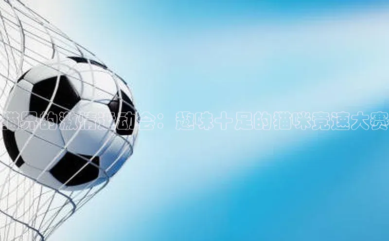 猫界的激情运动会：趣味十足的猫咪竞速大赛