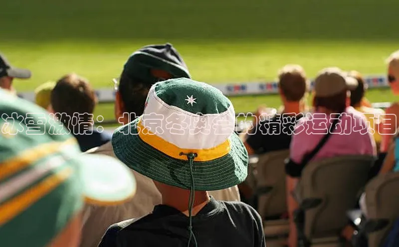 冰雪激情：北京冬奥会的精彩运动项目