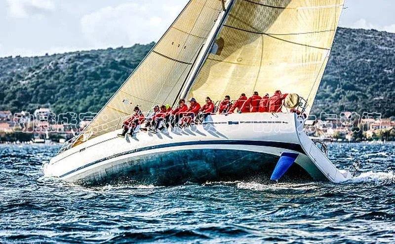 动感盛宴：<运动风赛事>的魅力与激情