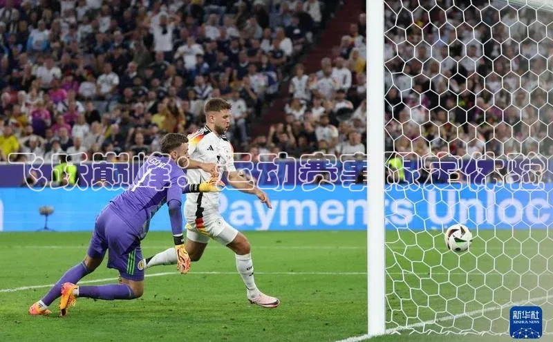 飞跃巅峰：运动赛事限定体验