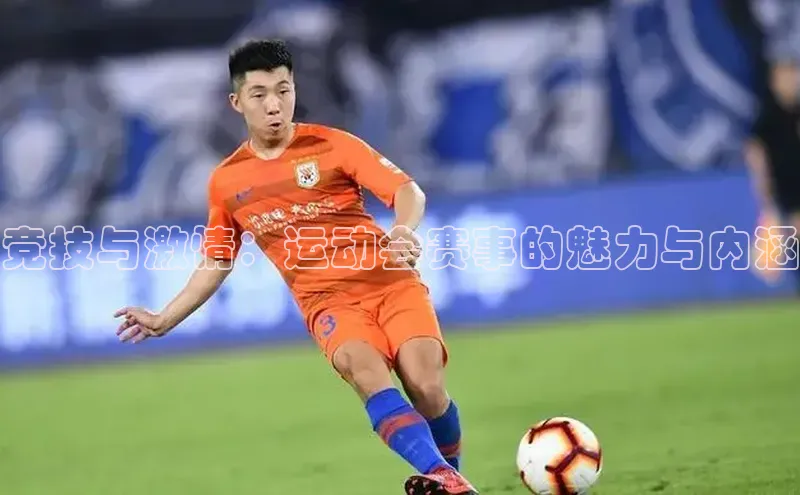 竞技与激情：运动会赛事的魅力与内涵