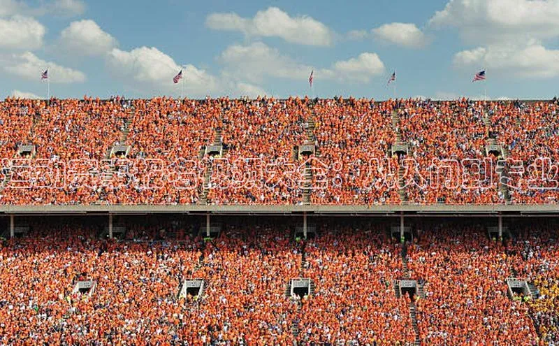 运动赛事报名视频大全：从入门到专业