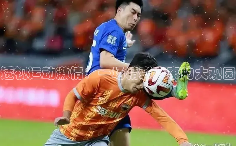 透视运动激情：一场精彩赛事的大观园