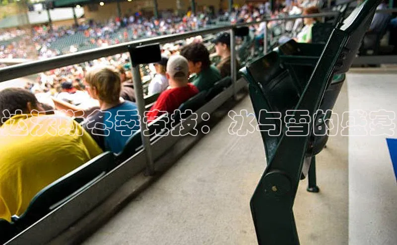 达沃斯冬季竞技：冰与雪的盛宴