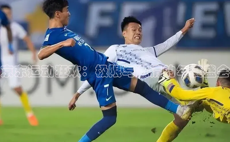 京东运动狂欢：极限与激情的年度盛会