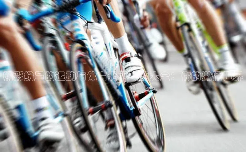 精彩纷呈的运动与体育赛事视频大全：你的激情世界