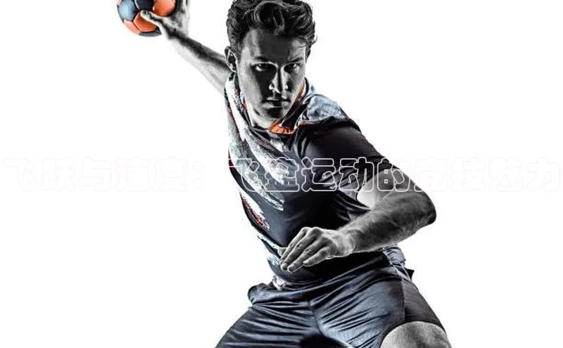 飞跃与速度：飞盘运动的竞技魅力