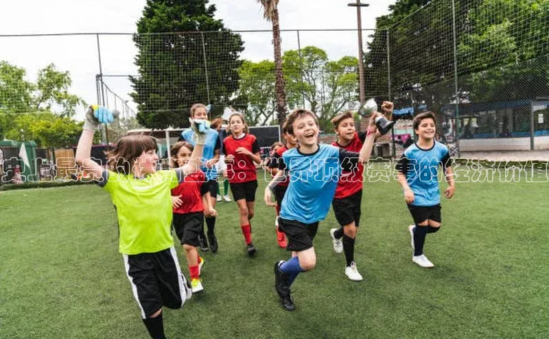 史上最贵的体育盛事：世界顶级赛事的经济价值