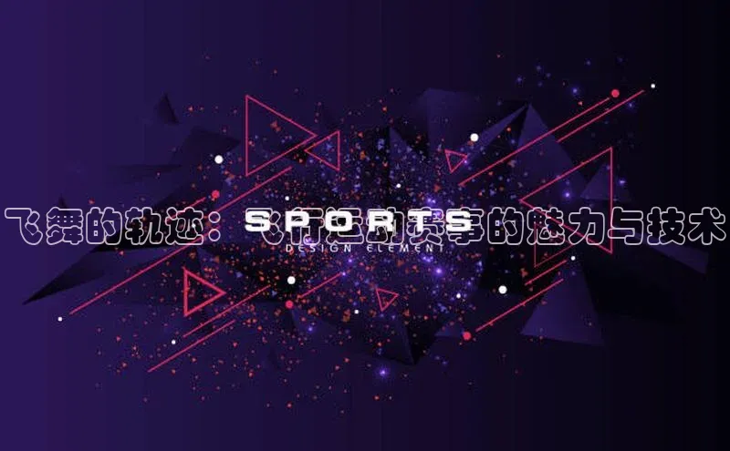 飞舞的轨迹：飞行运动赛事的魅力与技术