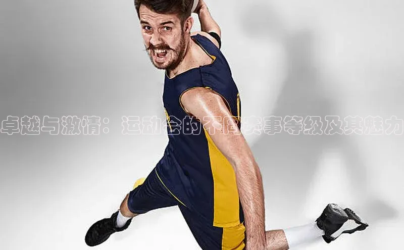 卓越与激情：运动会的不同赛事等级及其魅力