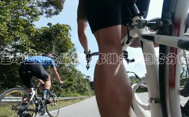全球运动会最高赛事排名与趋势分析