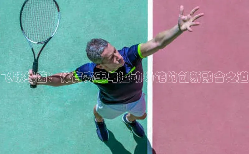 飞跃绿茵：体育赛事与运动场馆的创新融合之道