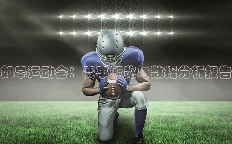 如皋运动会：赛事概览与数据分析报告